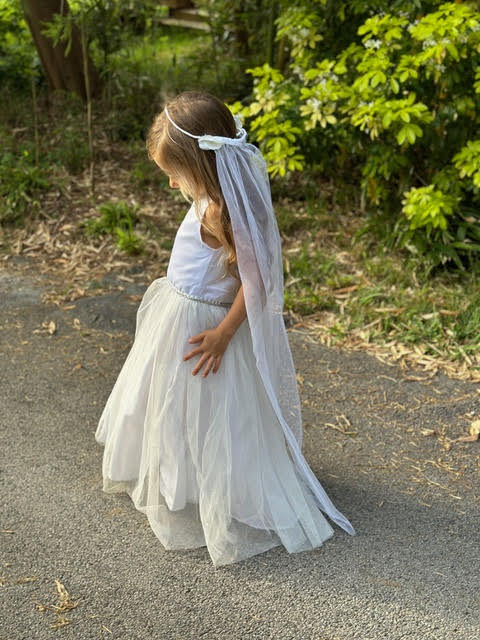 WEDDING DRZSS