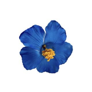 HAIR FLOWER PLIERS BLUEUE PF-0003B