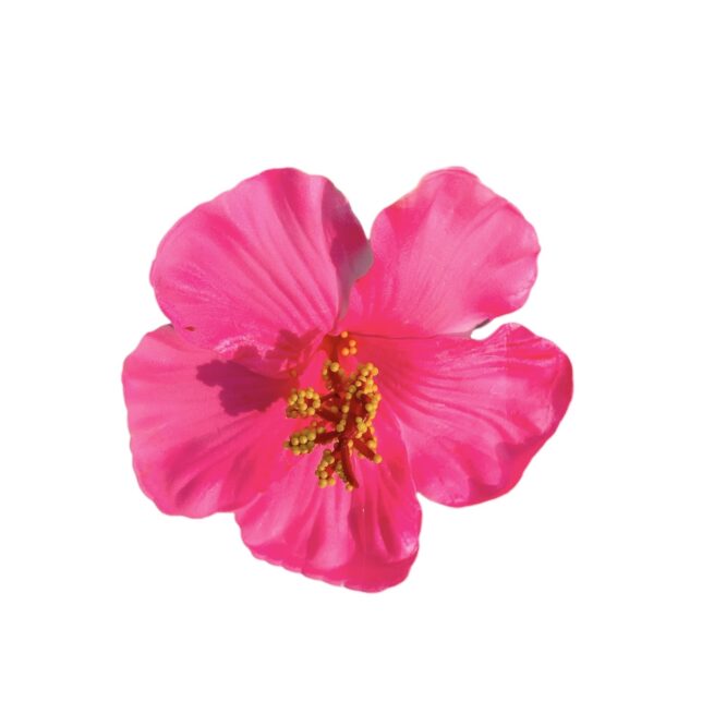 PINCE FLEUR ROSE POUR CHEVEUX PF-006P