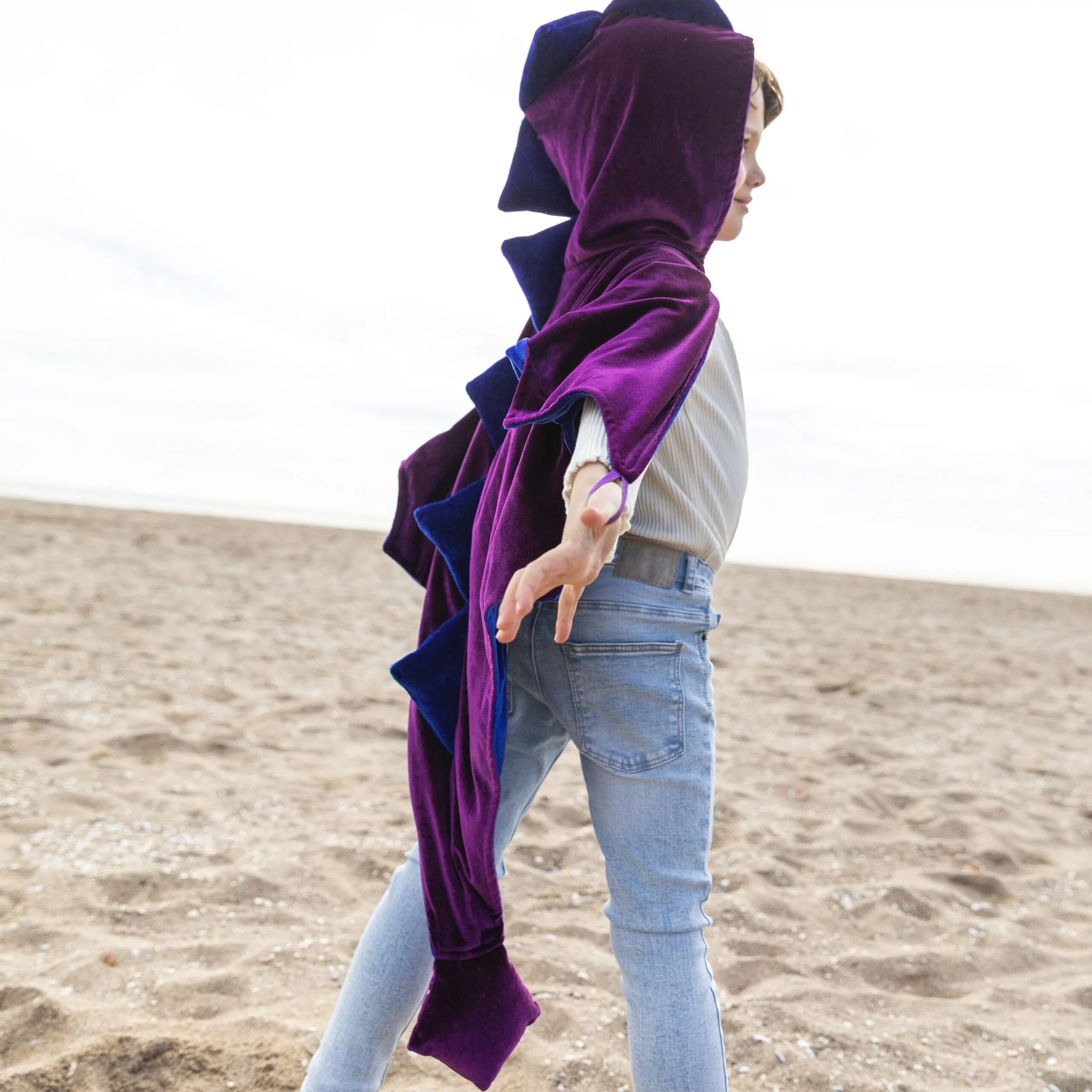 DEGUISEMENT DRAGON EN VELOURS VIOLET ET BLEU DG-S011 RATATAM KIDS