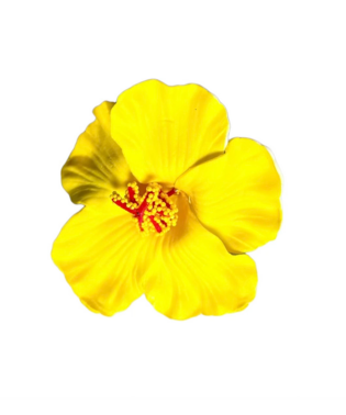 PF-Y007 PINCE FLEUR HAWAI JAUNE RATATAM KIDS